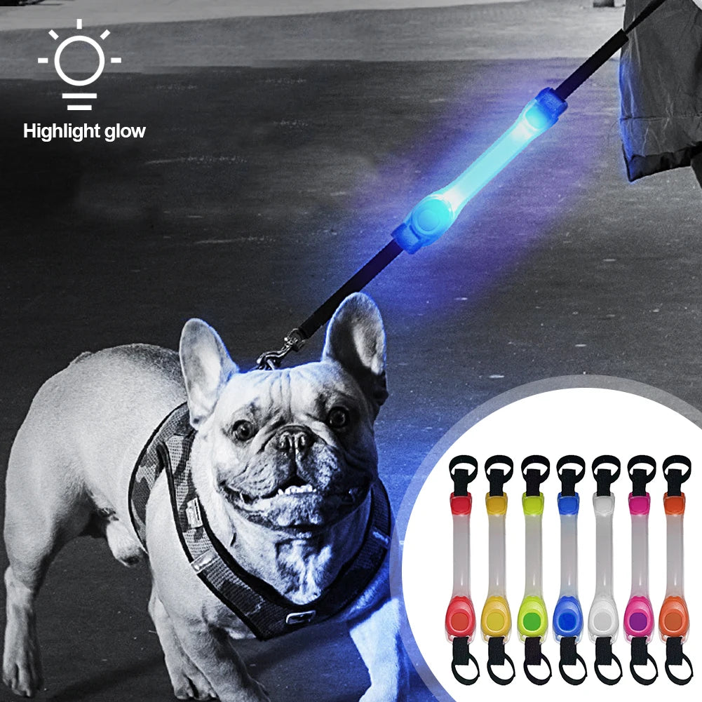 Dog Glowing Collar & Leash Anti Lost Safety Outdoor Waterproof Warning LED Flashing Light Strip Pet Harness Dog Accessories in use.