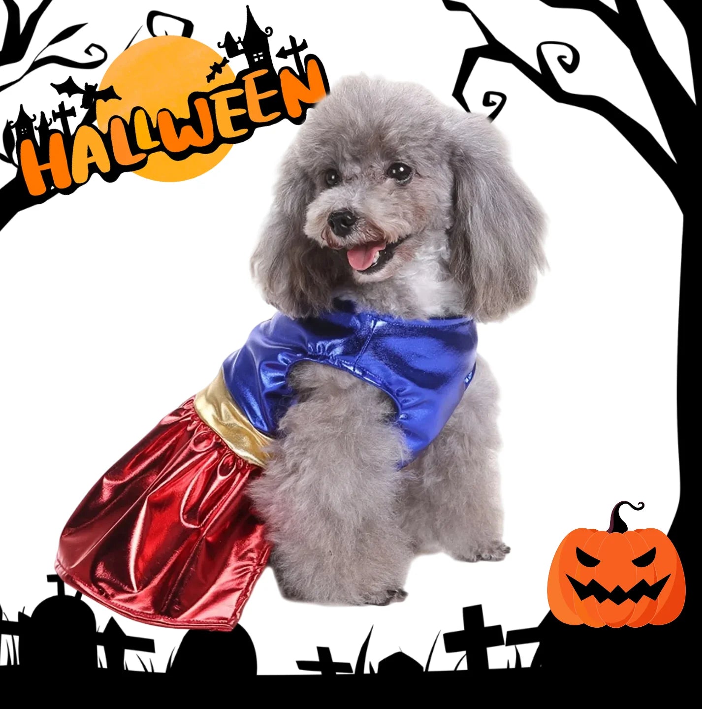 Gray poodle in colorful Halloween dog costume surrounded by spooky decorations and pumpkins