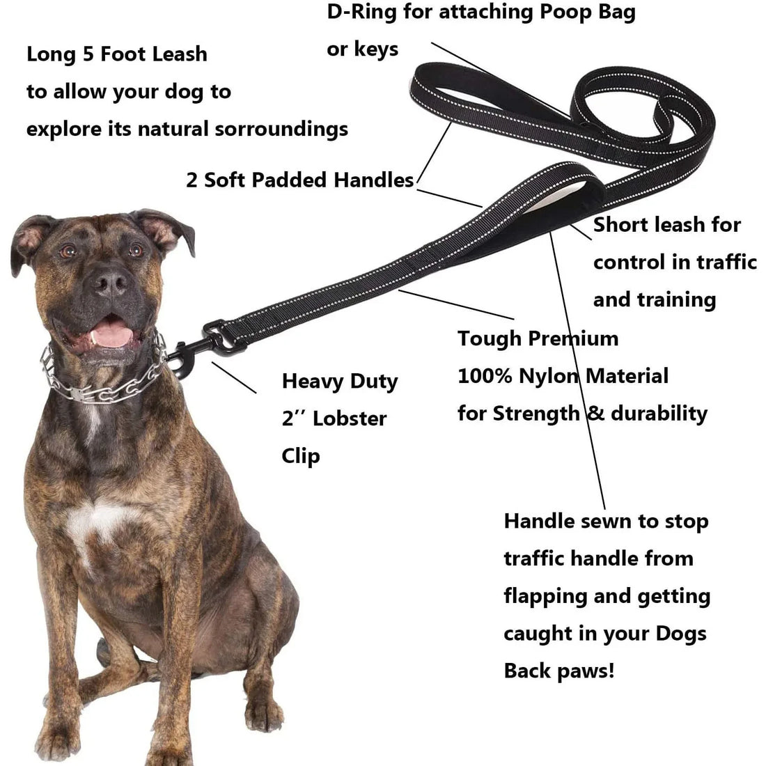heavy duty double handle dog leash with 5-foot lead, padded handles, D-ring, and strong nylon for training and control