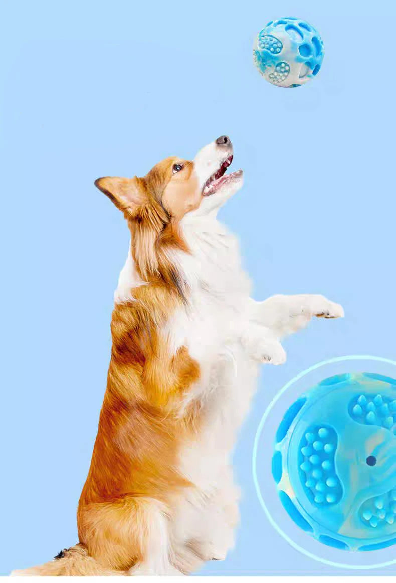 S66400350acfd4caab5a9d0cb1ff0602dg - bestdoggylife.shop