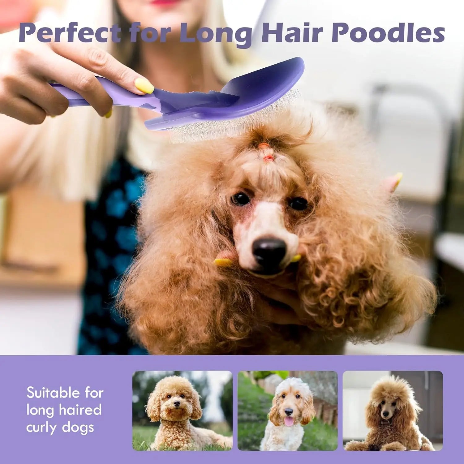 dog grooming brush for poodles detangles long curly fur on a poodle, ideal for dematting and bathing