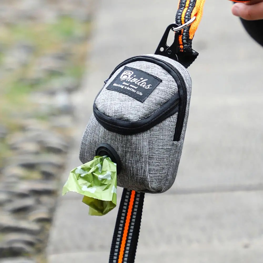 Gray dog waste bag dispenser pouch clipped to a leash, outdoor walking path