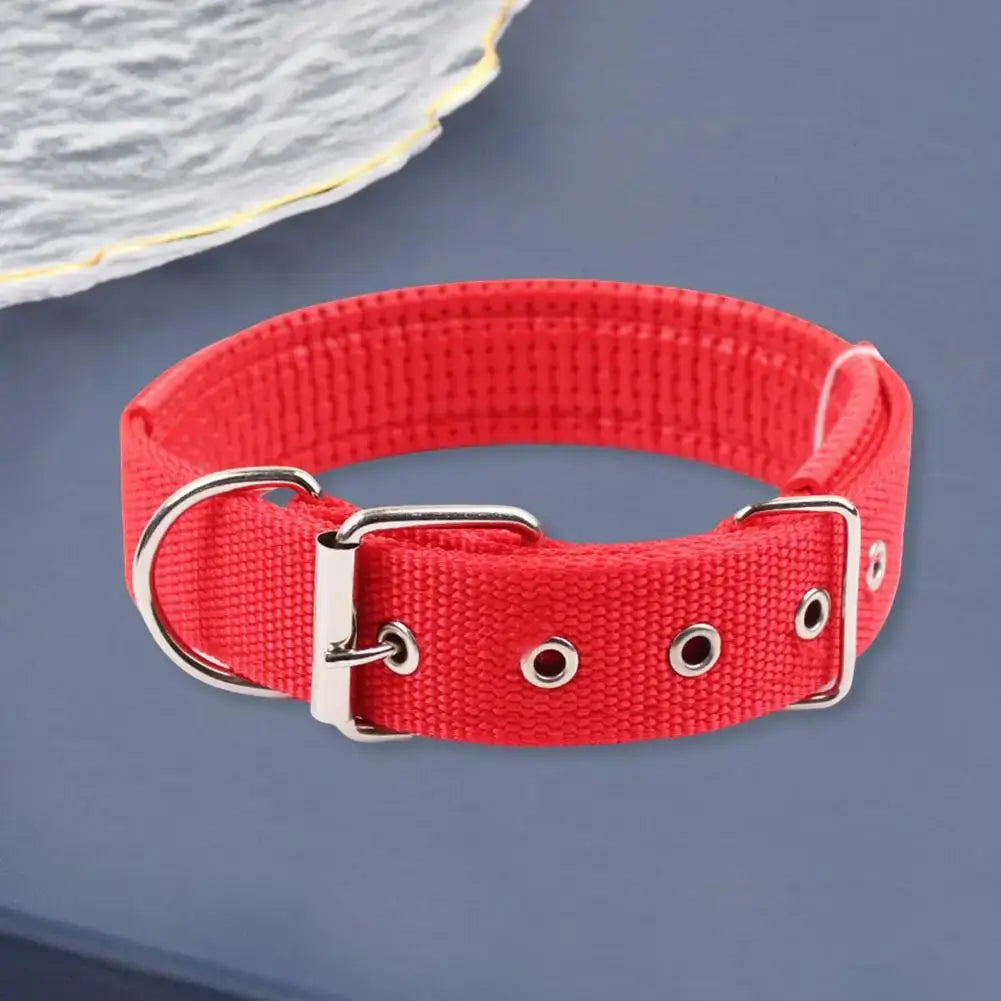 adjustable nylon dog collar in red with metal buckle and traction ring for durable pet control