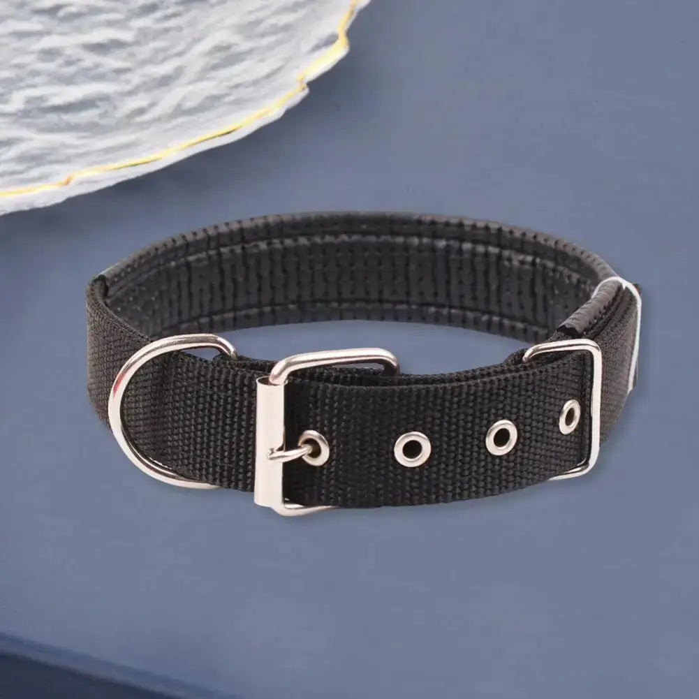 adjustable nylon dog collar with metal buckle and traction ring, durable black pet neck strap for all stages