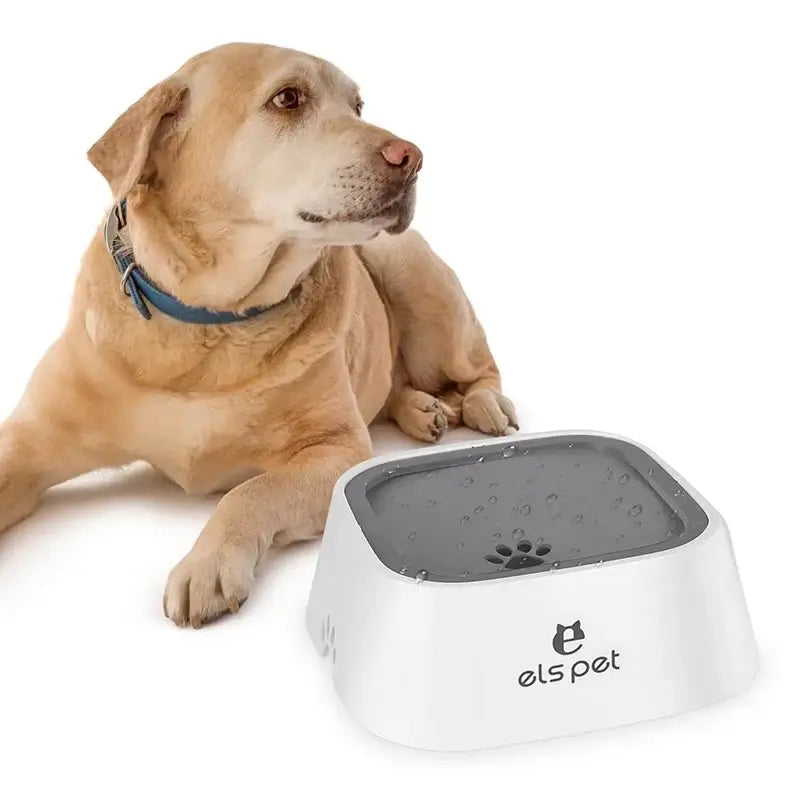 no-spill dog water bowl with dog beside splash-proof slow feeder drinking dish for pets
