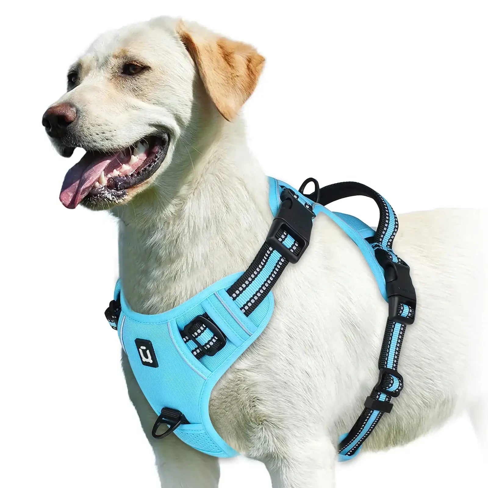 No Pull Dog Harness, Adjustable Soft Padded Pet Vest with Easy Control Handle on a happy Labrador.