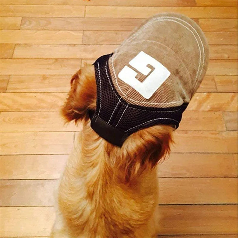 S6e6bfa11df1849569e09c7f12c5420ffA - bestdoggylife.shop