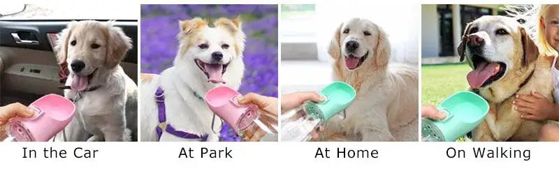 portable dog water bottle for small and large dogs, leakproof pet drinking bowl for car, park, home, and walking