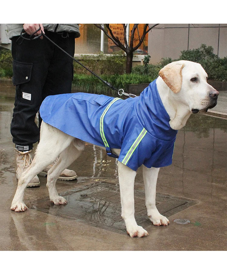 S6f1f9b065a104e76997e0e2fd2c7825aL - bestdoggylife.shop