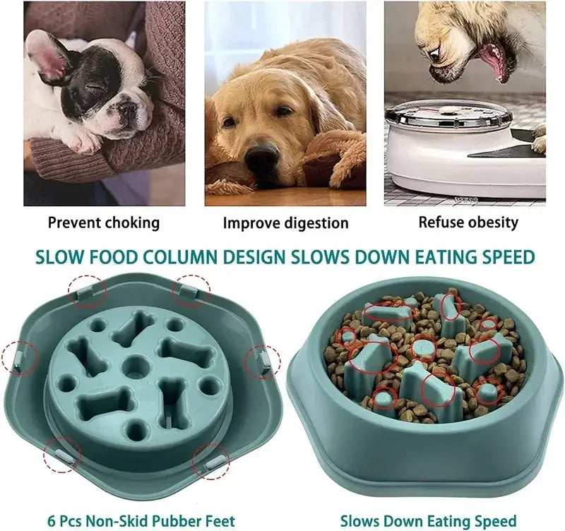 slow feeder dog bowl anti-choking puzzle feeder with non-slip base for small and medium dogs