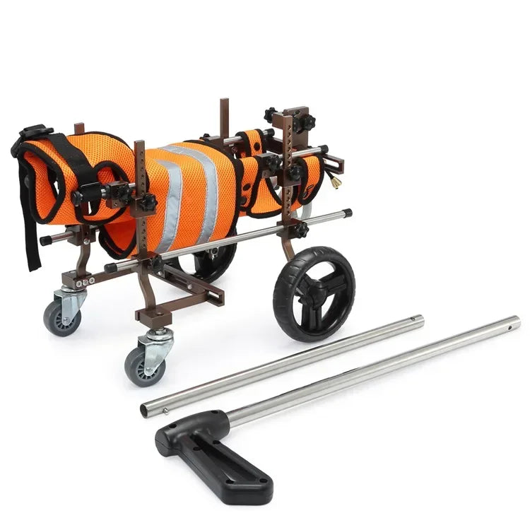 S706675da885b4993a5646c134f93ca29p - bestdoggylife.shop