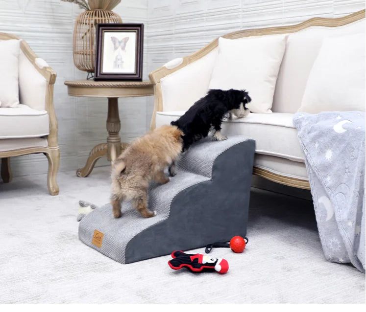 S71bcf90e1af64f759e0dc9e564175e3e9 - bestdoggylife.shop