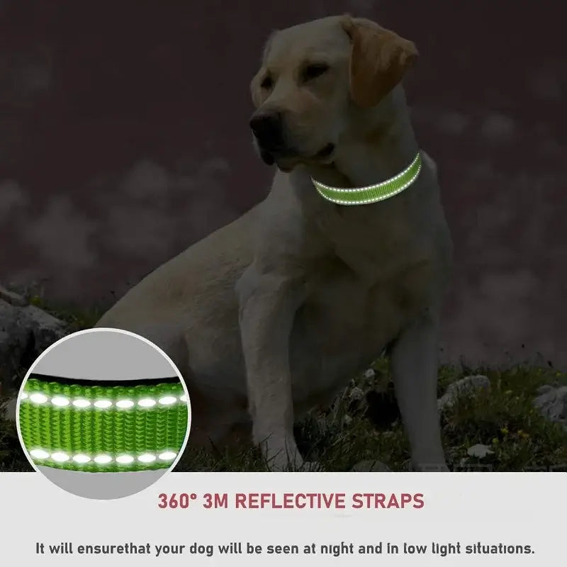small dog choker collar reflective LED nylon buckle collar for puppies and dogs, 360° safety strap