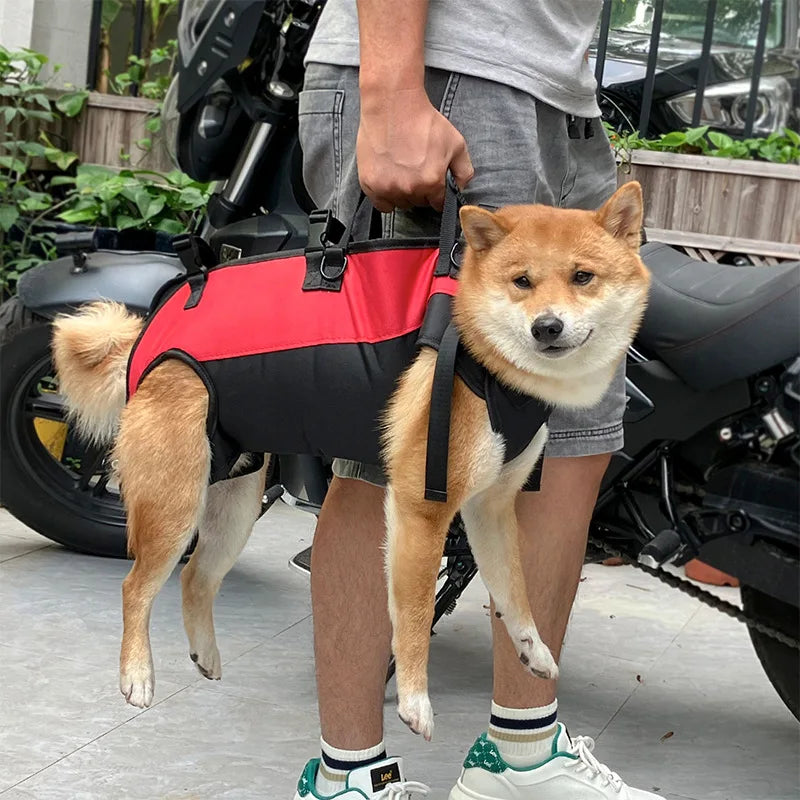 Dog backpack carrier for hiking and biking with breathable belly support, adjustable straps, secure fit for medium dogs