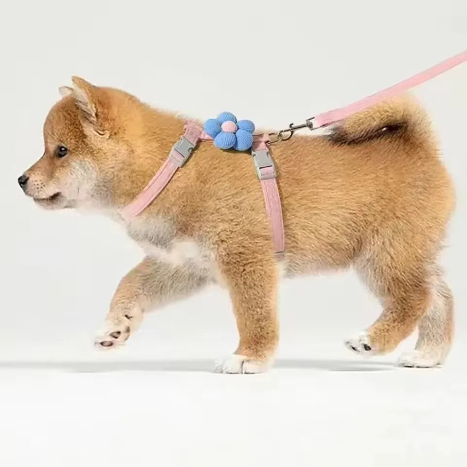 adjustable small dog harness leash set pink breathable harness on a puppy walking with flower detail