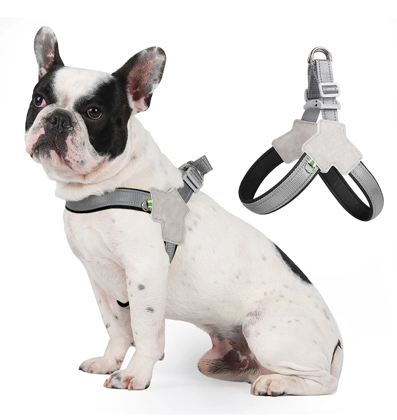 French Bulldog wearing a gray reflective dog harness, harness shown separately on white background.