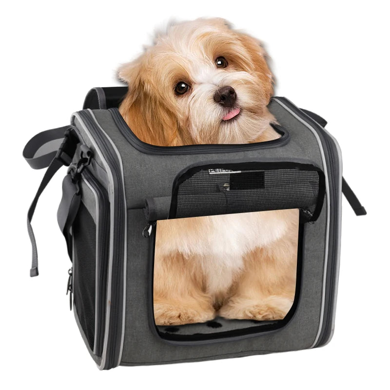 S79c92094c4b644c7b0da8b923261b17aM - bestdoggylife.shop