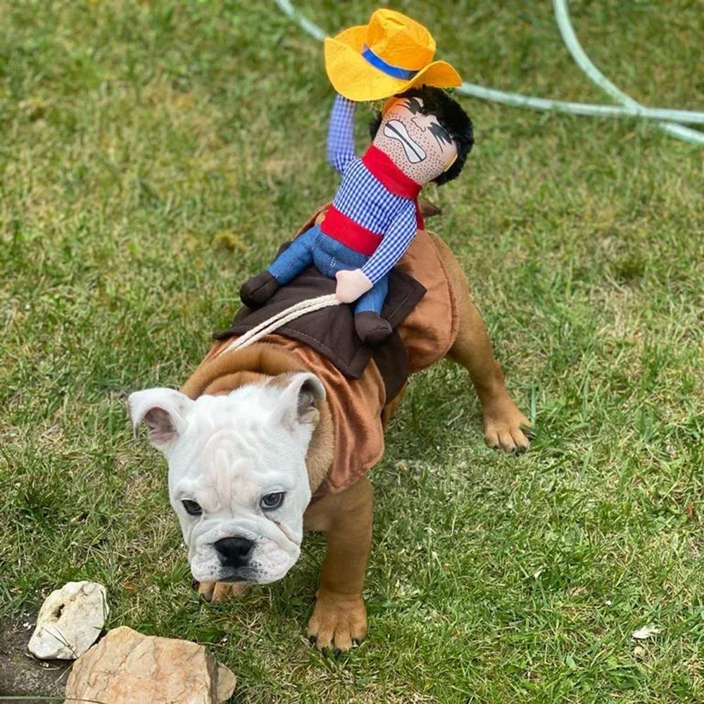 S7b8a661e747f43e9b015884d394b3f1d5 - bestdoggylife.shop