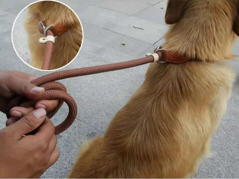 S7d16c41c1864490189af26111dc0db98T - bestdoggylife.shop