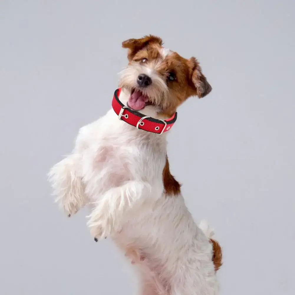 adjustable nylon dog collar for small dog, red pet neck strap with traction ring, durable and stylish