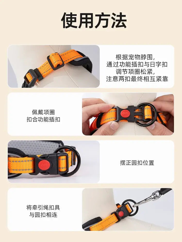 Dog collar with adjustable buckle, quick-release clasp, and leash attachment for puppy walking use