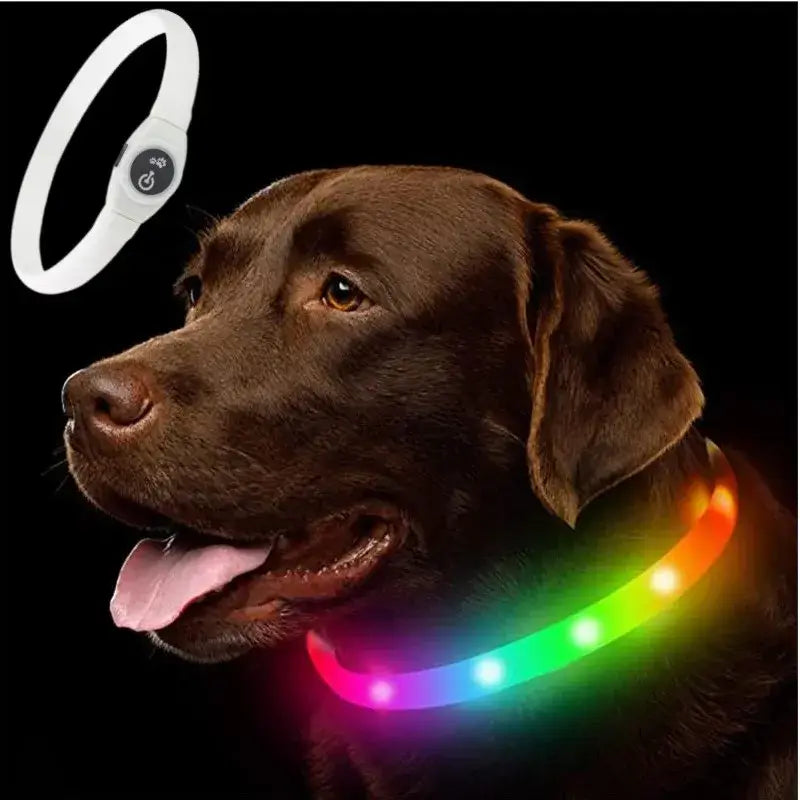 Colorful LED dog collar with USB interface, waterproof PVC glowing safety collar for large, medium, and small dogs