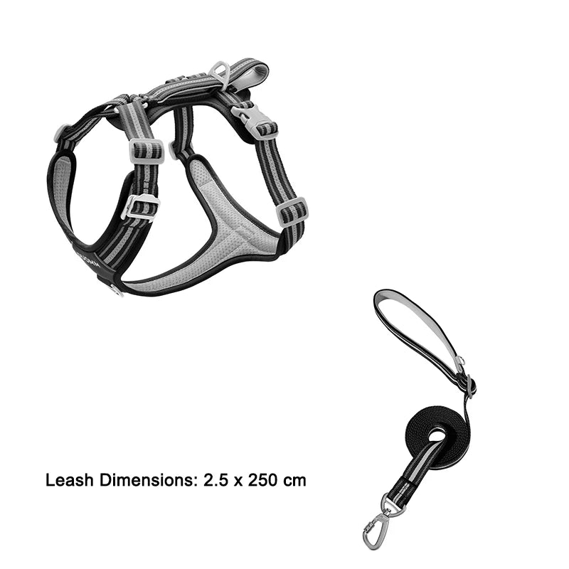 S83653522fbfb42c3968c2ebfa18558a2B - bestdoggylife.shop