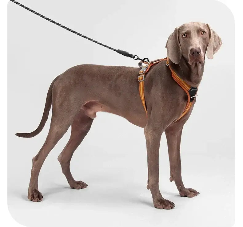 Dog Leash Anti-Pull Pet Harness Comfortable Outdoor Dog Leash Reflective Dog Harness Durable and Stain-Resistant