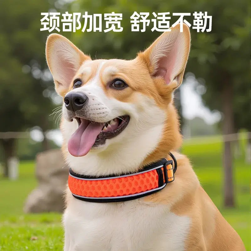 dog collar with padded neck support for comfortable puppy walking, orange reflective pet collar for active dogs
