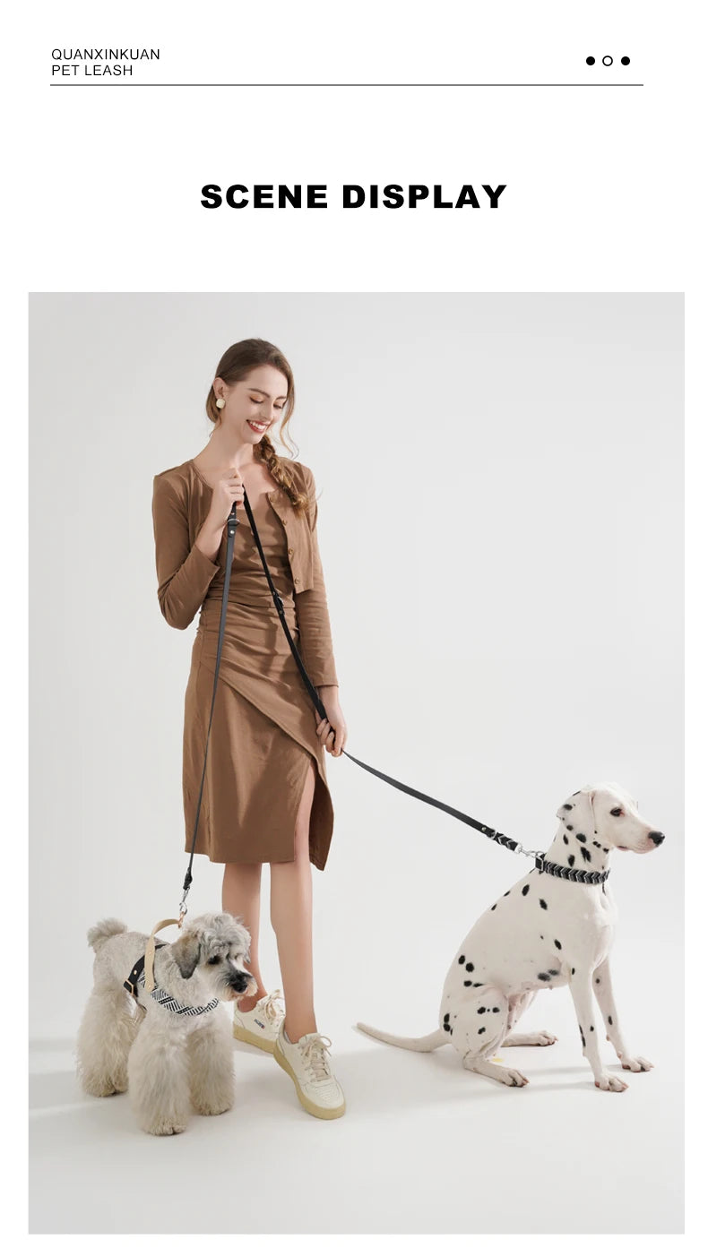 hands free dog leash for walking two medium and large dogs with a woman in a scene display