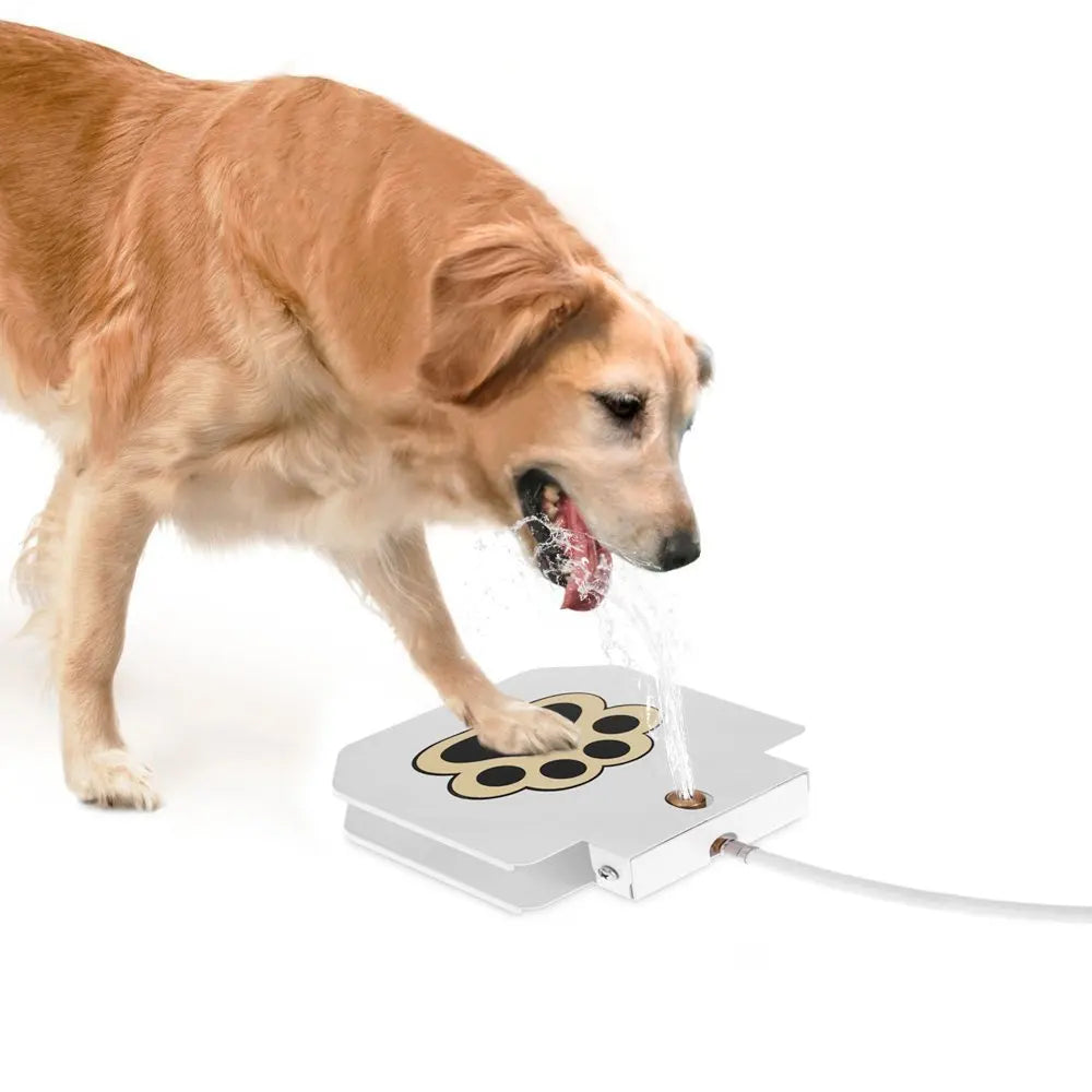 Dog Outdoor Water Fountain Step On Paw Activated Drinking summer Pet Dispenser Dog Water Sprinkler Automatic Water feeder in use.