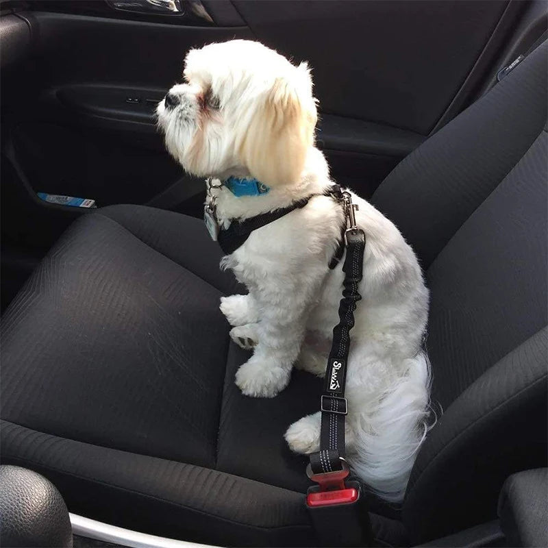 S87f4a1c11e094b3b9c36cdb4ae3700dar - bestdoggylife.shop