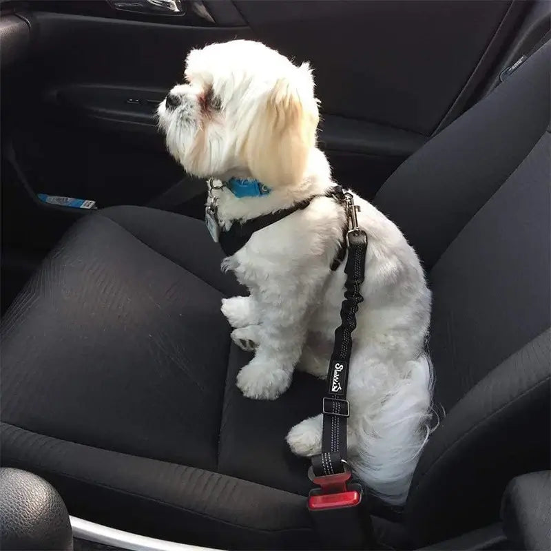 Dog Safety Leash Adjustable Retractable Cushioning Elastic Pet Leash Car Seat Seat Belt Safety Rope Tug Rope used in car.