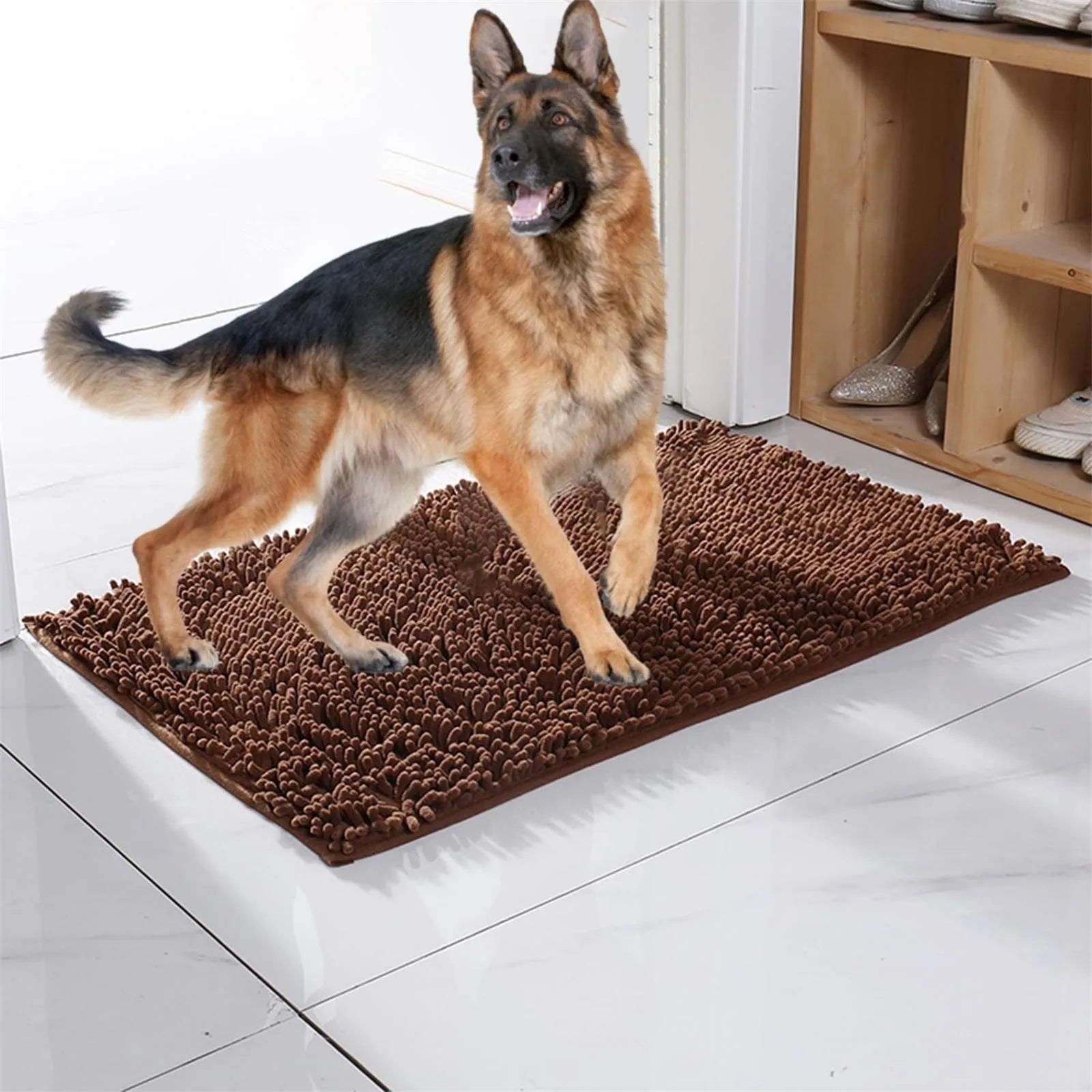 S89a00dfa66544cd4b796a556339d5547b - bestdoggylife.shop