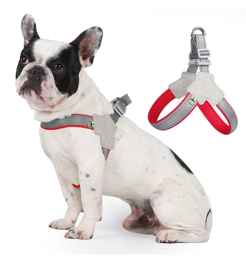 S89ef0f4535e34c0ea1e0e011f6227384W_2ad2f674-da5a-4413-8ef1-031bf438635b - bestdoggylife.shop