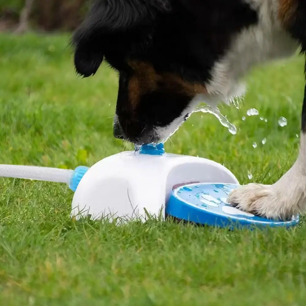 step-on dog water fountain outdoor pet dispenser for courtyard and garden, automatic hose-activated sprinkler