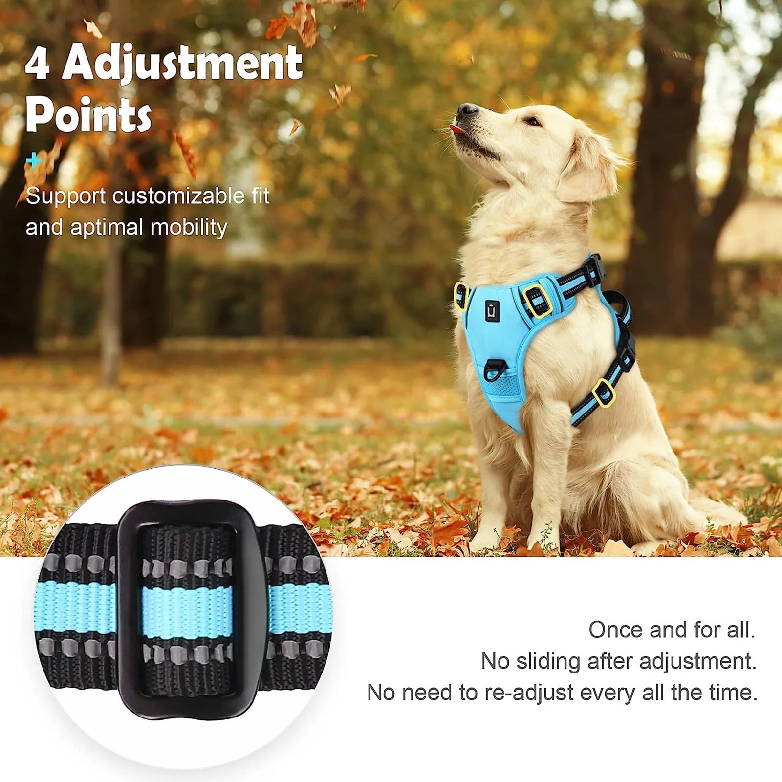 S8c5f4f8dce064a678f3ccc7d44fc5fc5M - bestdoggylife.shop