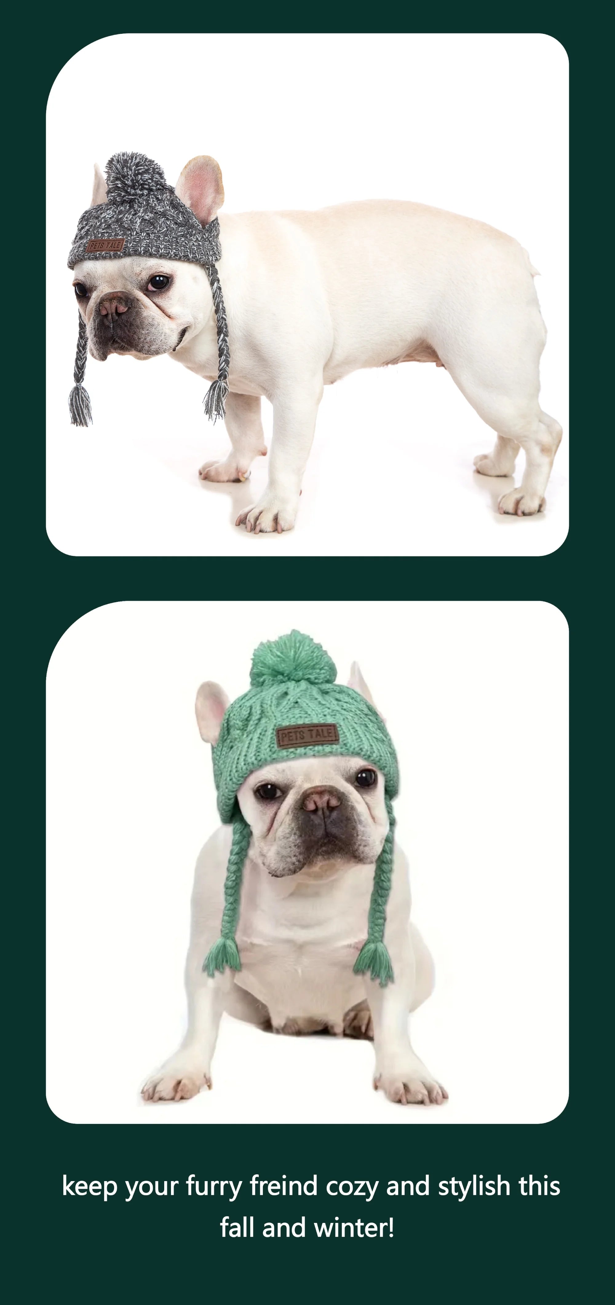 S8cb2fda0fcd849218fb0747b6082b0ff2 - bestdoggylife.shop