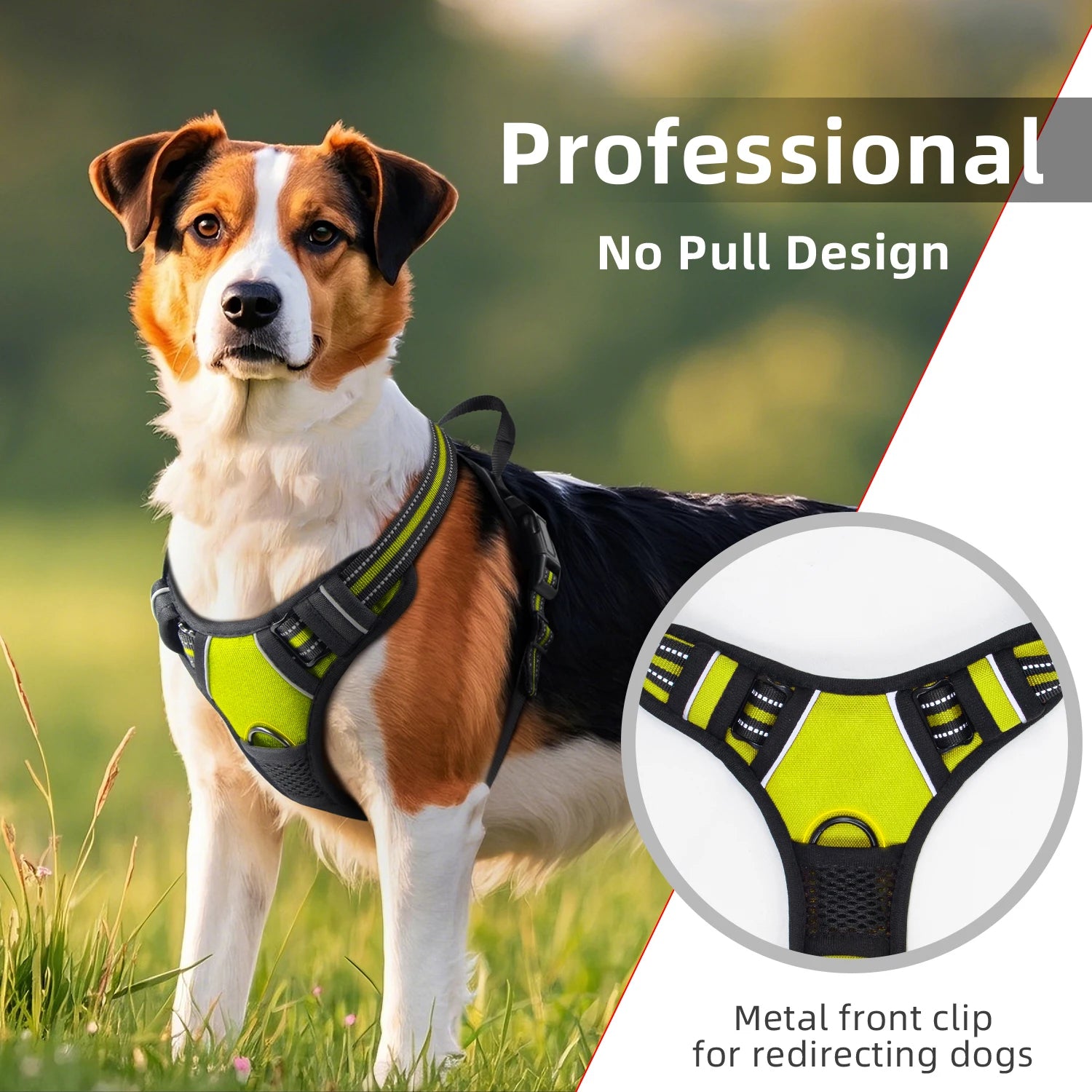 S8d74e8d741fb48e7aa40977fce36f17cA - bestdoggylife.shop