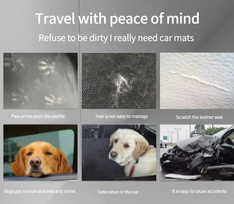 Travel with peace of mind about dog messes, including paw prints, hair, and accidents in cars.