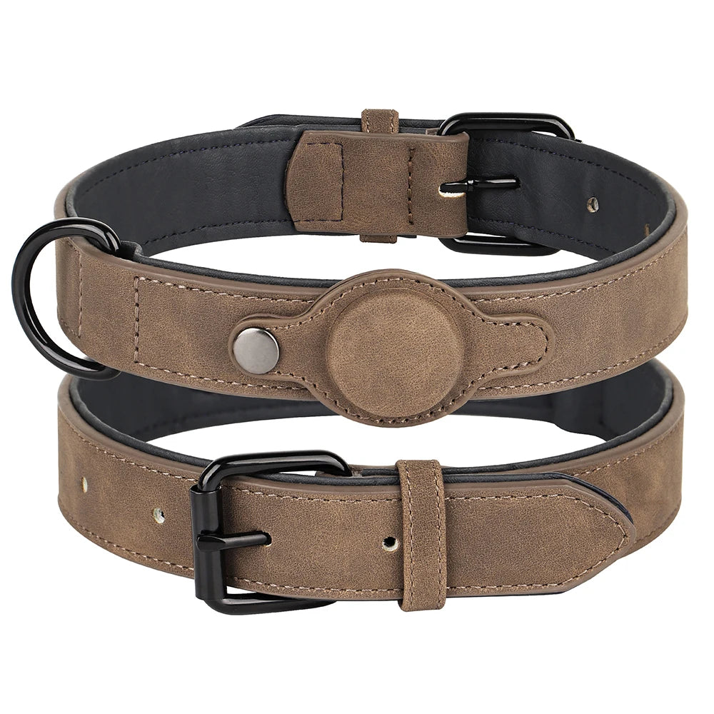 S90b9d0e552974ecead2af91e1f8d567bF - bestdoggylife.shop