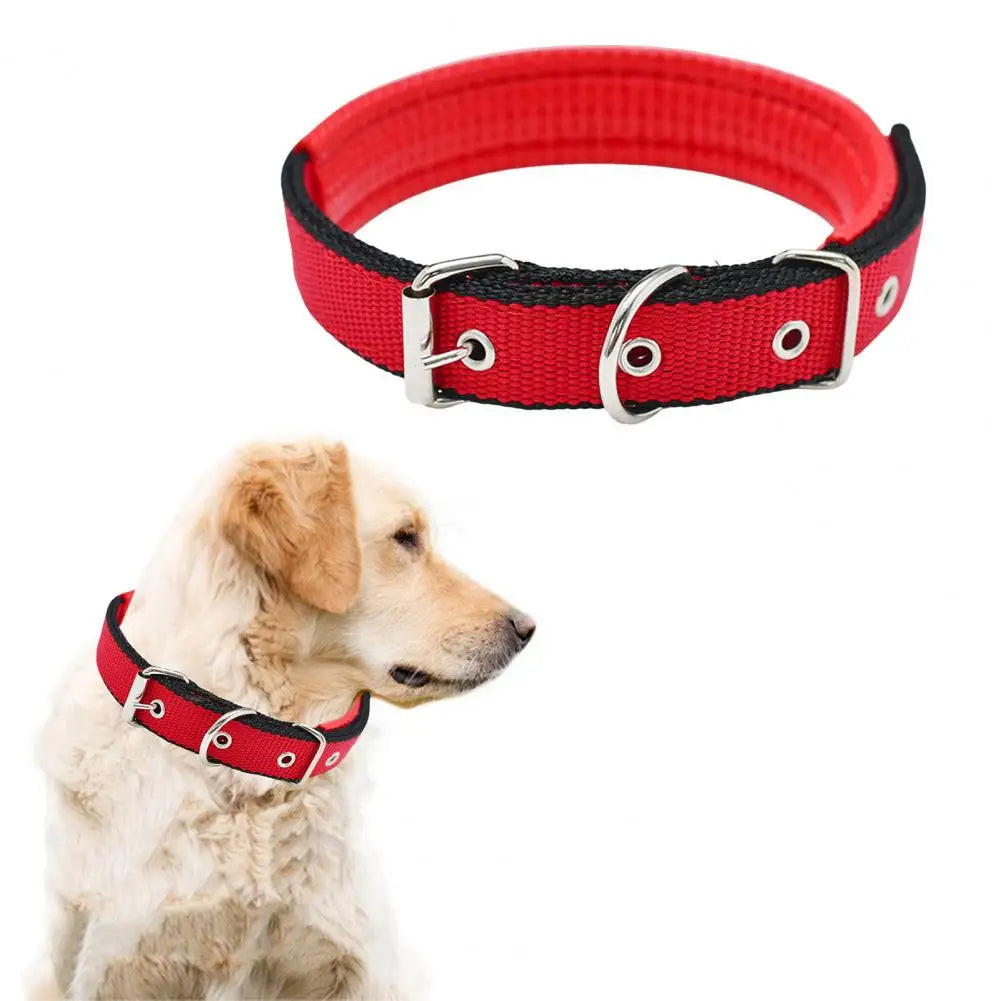 S91e60d20ed8f41c1bb898ee0b6ca89e3T - bestdoggylife.shop
