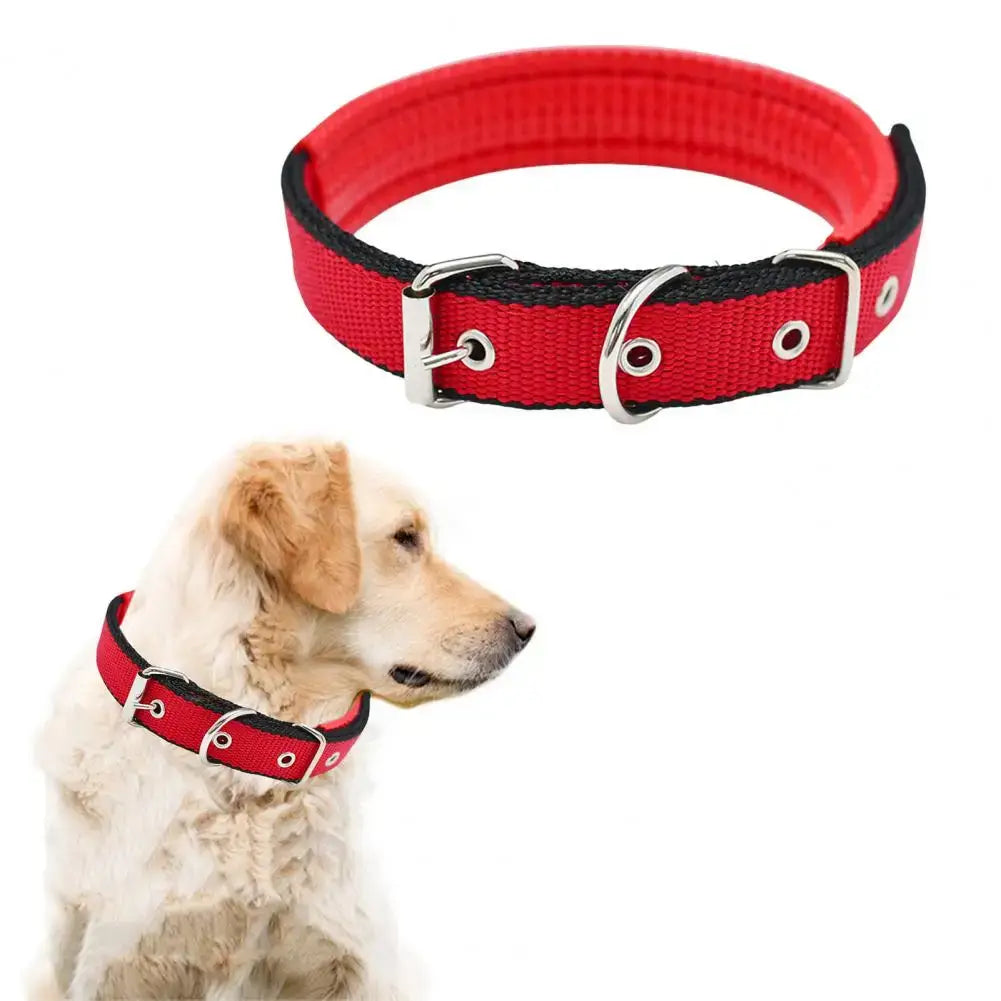 Red adjustable nylon dog collar with metal buckle and ring, shown on a dog