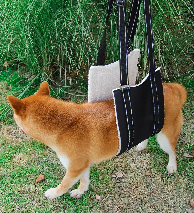 Dog Lift Harness Adjustable Dog Sling for Back Legs Support Rehab Harness for Weak Rear Legs Pet Aid Assist Tool For Elderly Dog