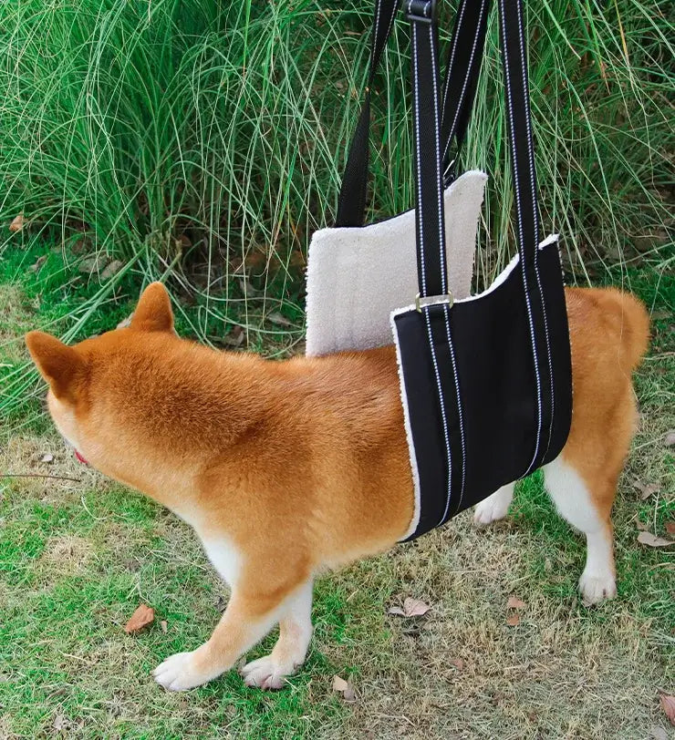 Dog Lift Harness Adjustable Dog Sling for Back Legs Support Rehab Harness for Weak Rear Legs Pet Aid Assist Tool For Elderly Dog