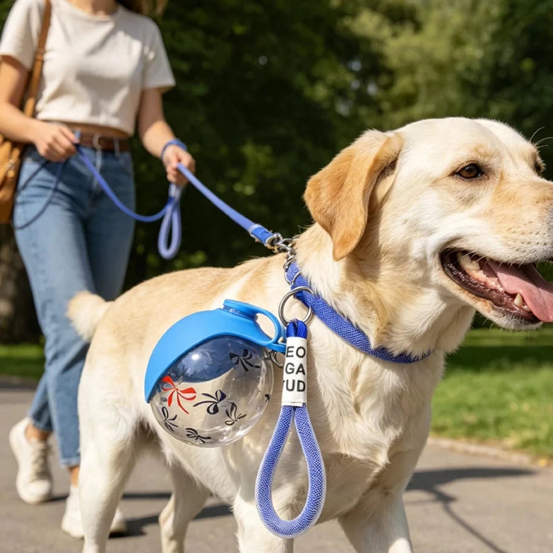 portable dog water bottle attached to a Labrador on a leash during an outdoor walk