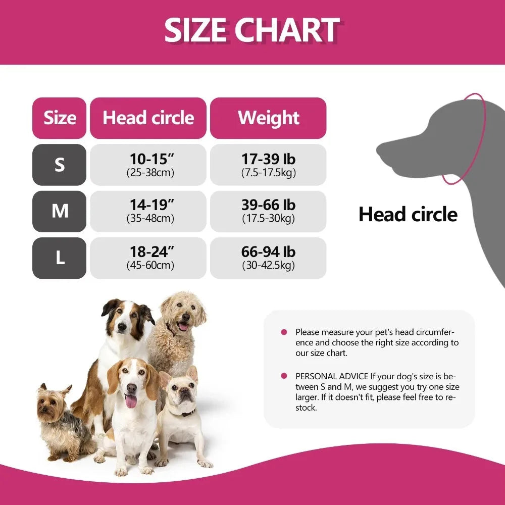 Dog accessory size chart with head circumference, weight, dog breed images, and fitting tips