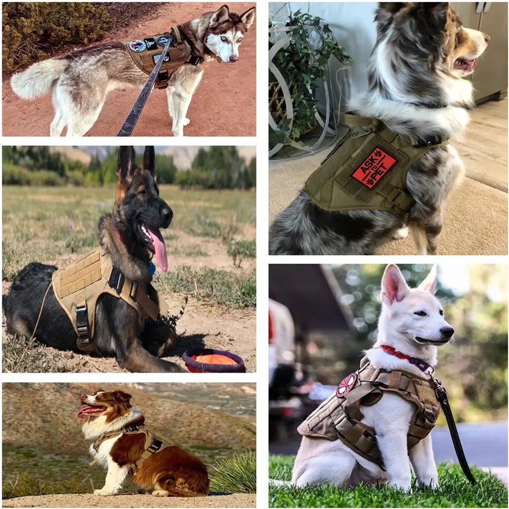 Military tactical dog harness for large dogs, adjustable padded vest for German Shepherd, Malinois, and training