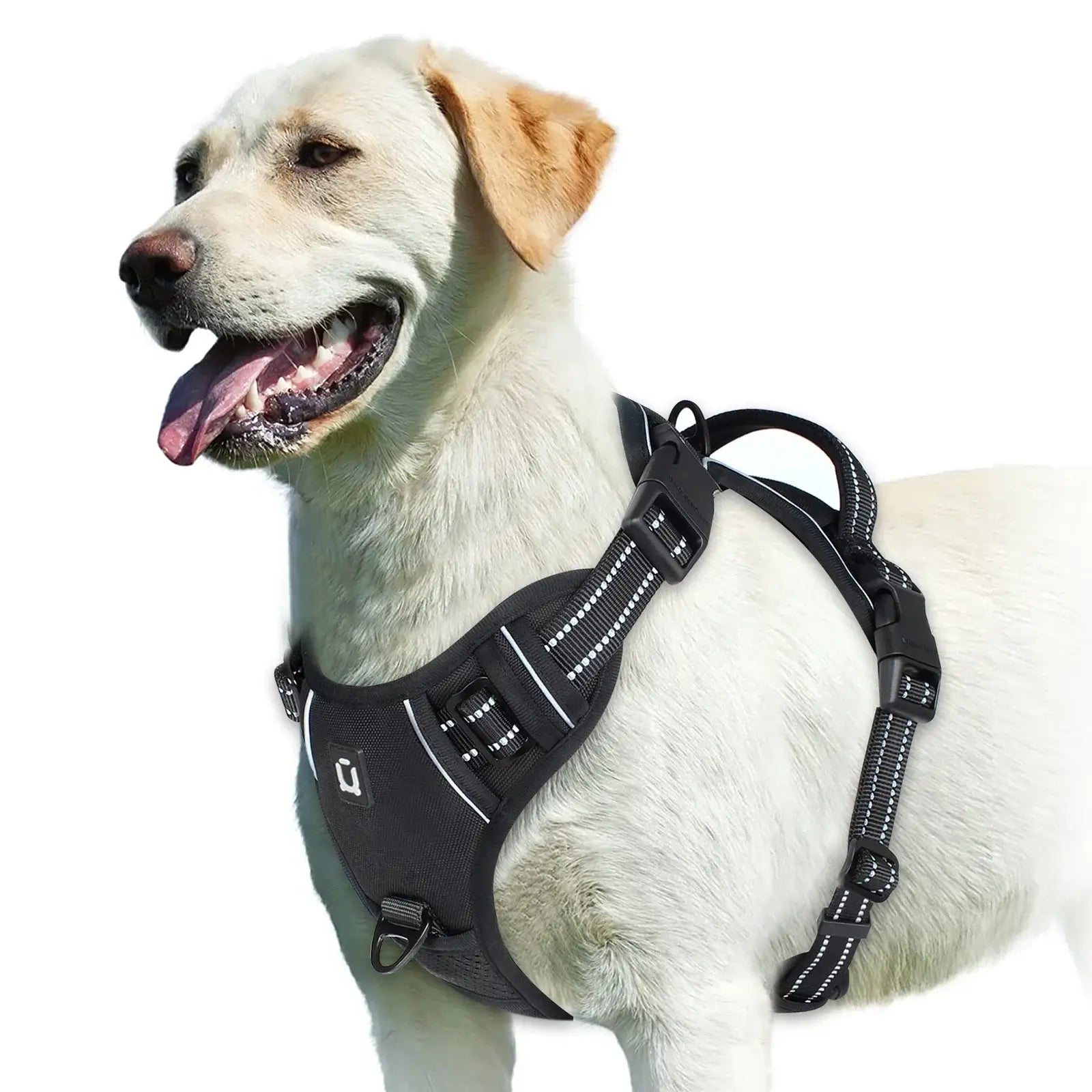 No Pull Dog Harness, Adjustable Soft Padded Pet Vest with Easy Control Handle on a Labrador.