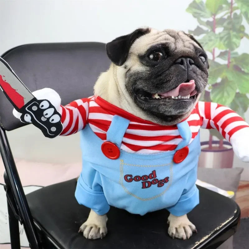 Pug in funny striped dog costume with toy knife and blue overalls sitting on chair